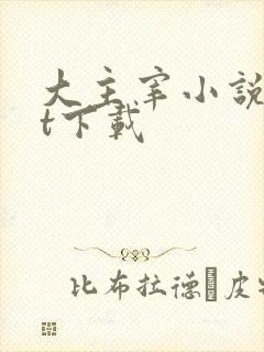 大主宰小说txt下载