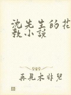 沈先生的花式管教小说