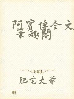 阿宾传全文阅读 笔趣阁封面