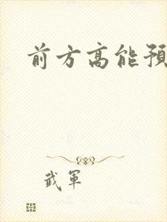 前方高能预警封面