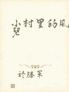 小村里的风流事儿封面