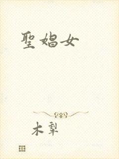 圣娼女封面