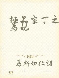 极品家丁之册母为妃