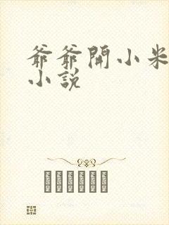 爷爷开小米的包小说