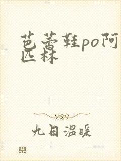 芭蕾鞋po阿司匹林封面