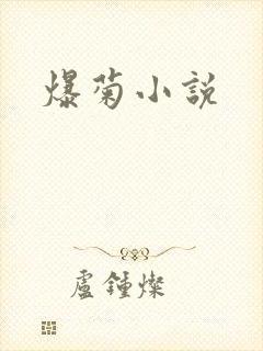 爆菊小说