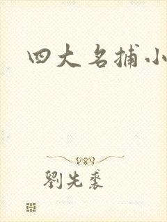 四大名捕小说封面