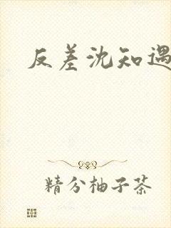 反差沈知遇晏应封面