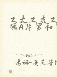 又大又爽又黄无码A片男和男封面