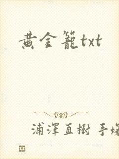 黄金笼txt