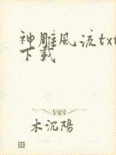 神雕风流txt下载