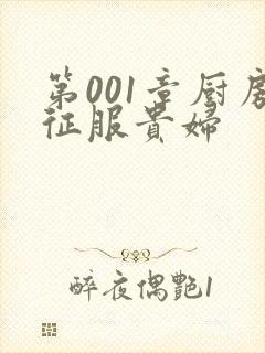 第001章厨房征服贵妇