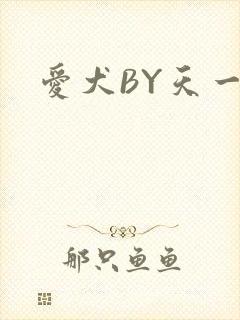 爱犬BY天一