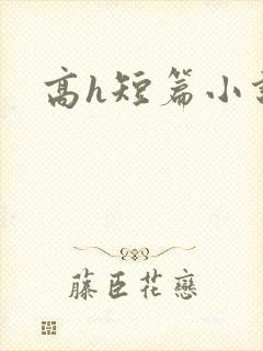 高h短篇小说封面
