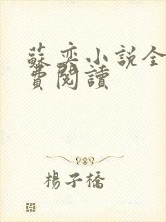 苏奕小说全文免费阅读