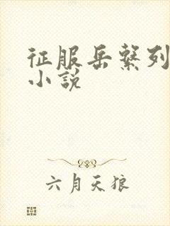 征服岳系列短篇小说封面