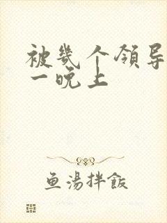 被几个领导玩弄一晚上