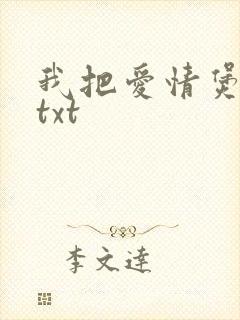 我把爱情煲成汤txt封面