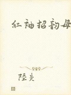 红袖招韵母攻略