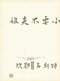 姐夫不要小说