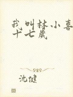 我叫林小喜今年十七岁