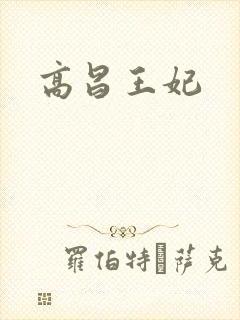 高昌王妃封面