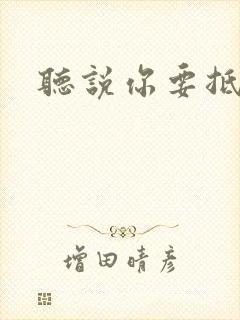 听说你要抵抗我