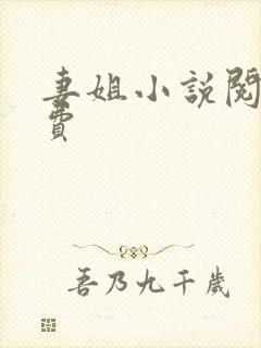妻姐小说阅读免费封面