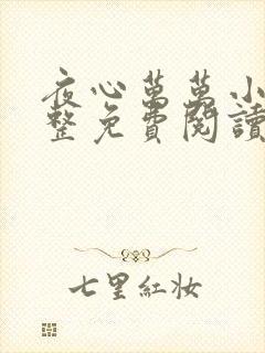 夜心万万小说完整免费阅读全文