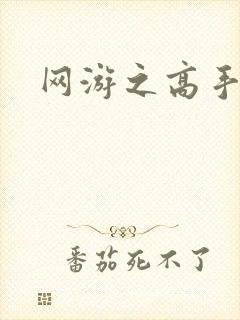 网游之高手寂寞