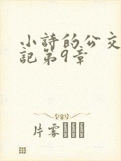 小诗的公交车日记第9章