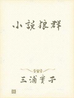 小说狼群