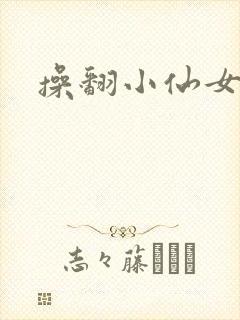 操翻小仙女封面