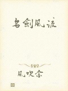 名剑风流封面