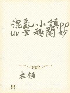 混乱小镇popuv笔趣阁妙妙