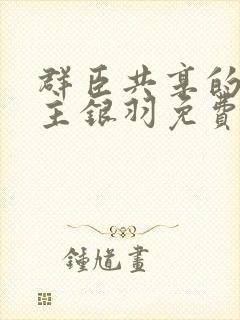 群臣共享的小公主银羽免费阅读