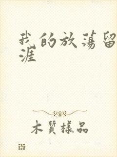 我的放荡留学生涯封面