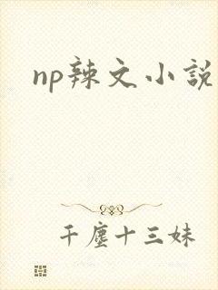 np辣文小说