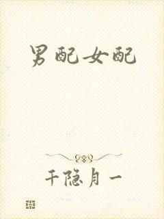 男配女配封面