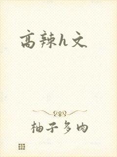 高辣h文