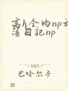 高h全肉np放荡日记np