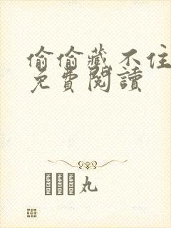 偷偷藏不住小说免费阅读