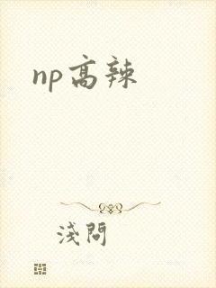 np高辣