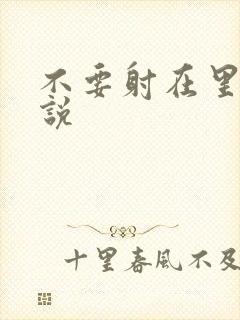 不要射在里面小说