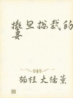 撒旦总裁的下堂妻