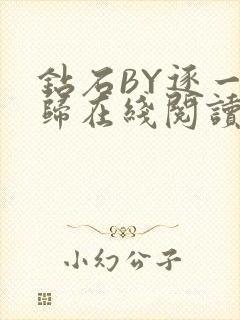 钻石BY逐一而归在线阅读