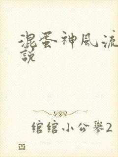 混蛋神风流史小说