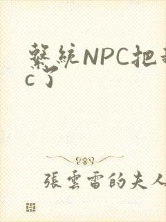 系统NPC把我c了