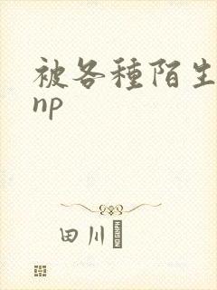 被各种陌生人 np