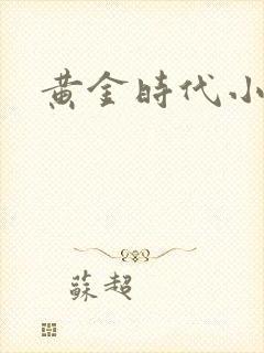 黄金时代小说封面